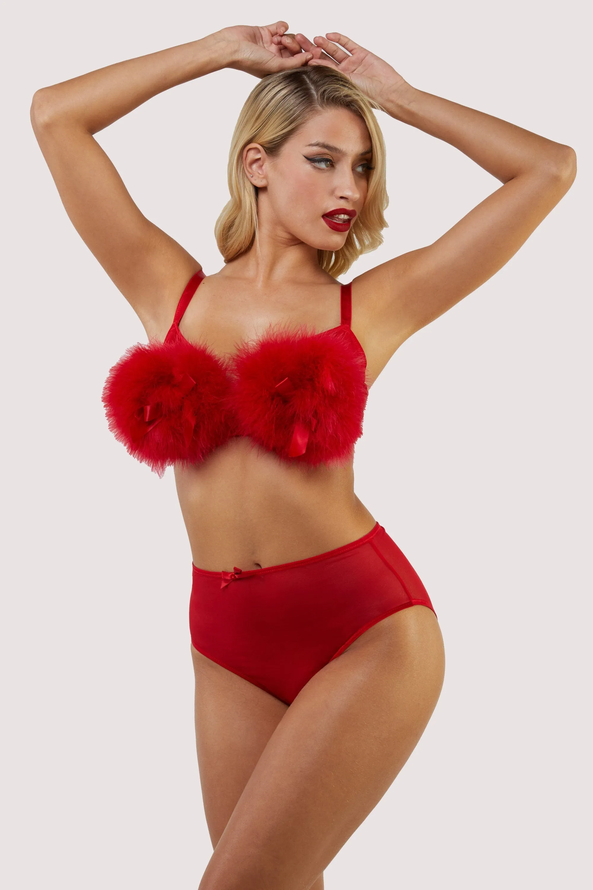 Elizabeth Red Mesh High Waisted Brief