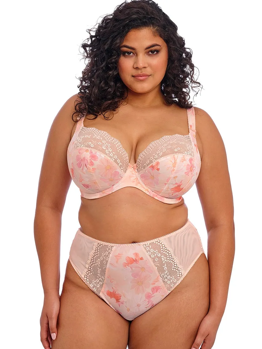 Elomi Lucie High Leg Brief