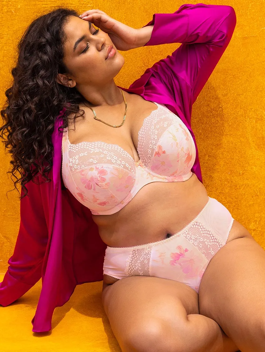 Elomi Lucie High Leg Brief