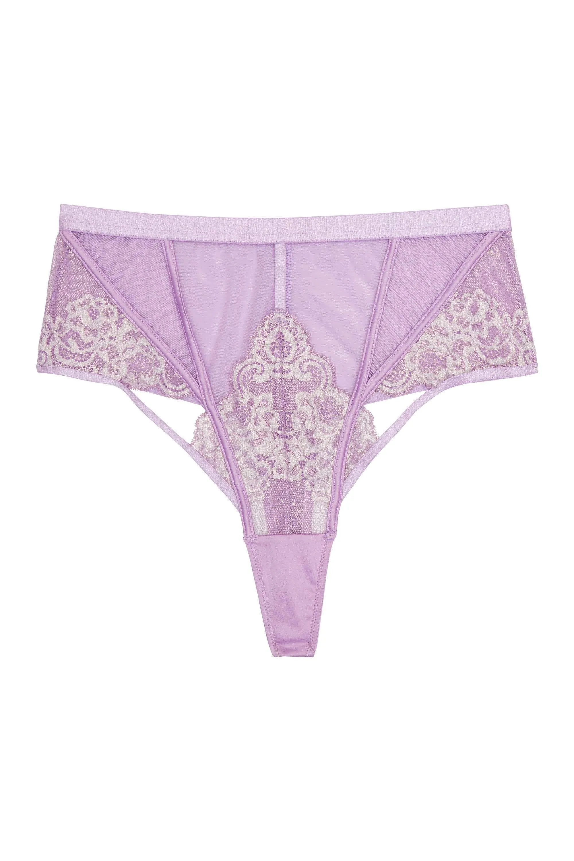 Fenella Lace and Net High Waist Brief Core