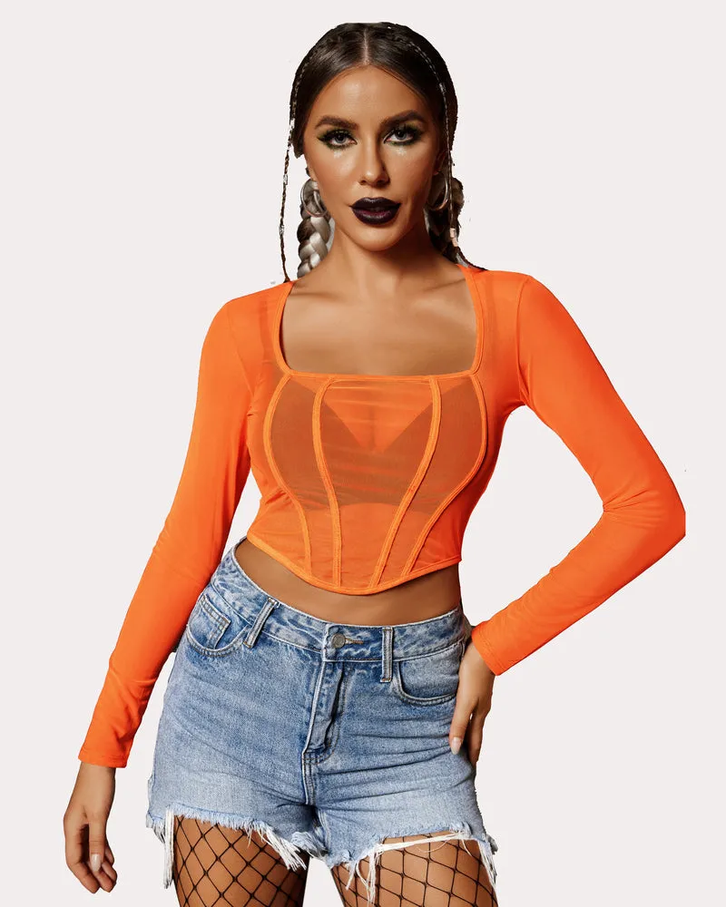 Mesh Top Y2K Sheer Blouse