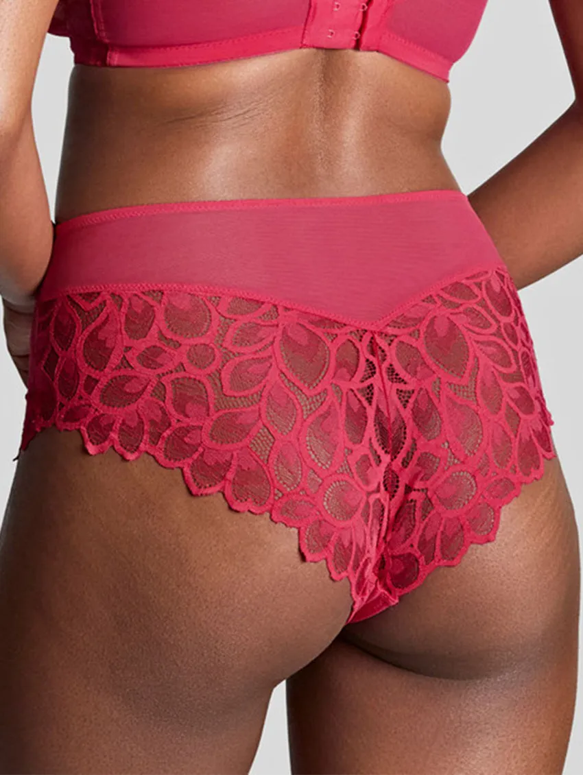 Panache Allure Briefs