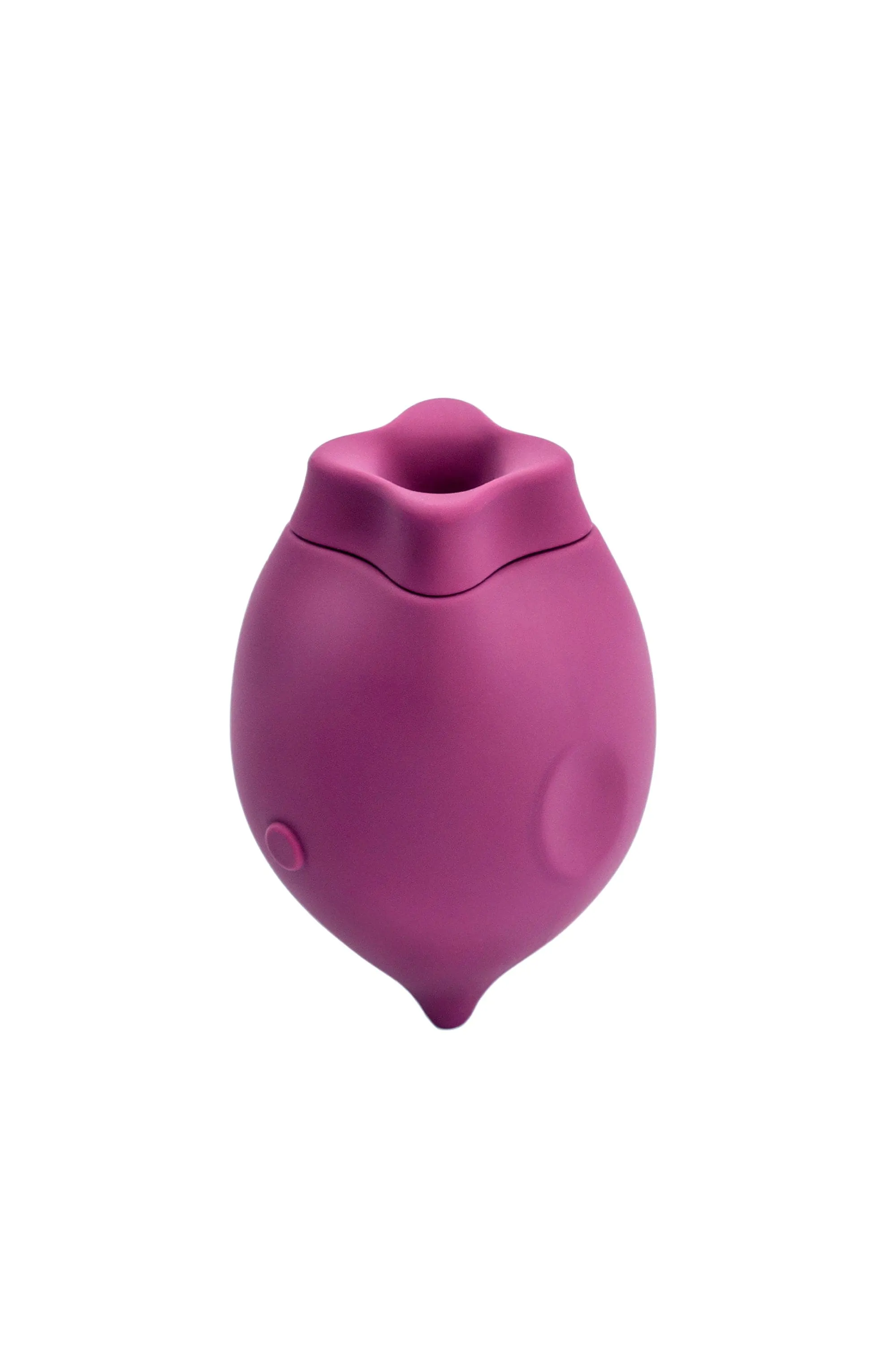 The Poet Suction Clitoral Vibrator
