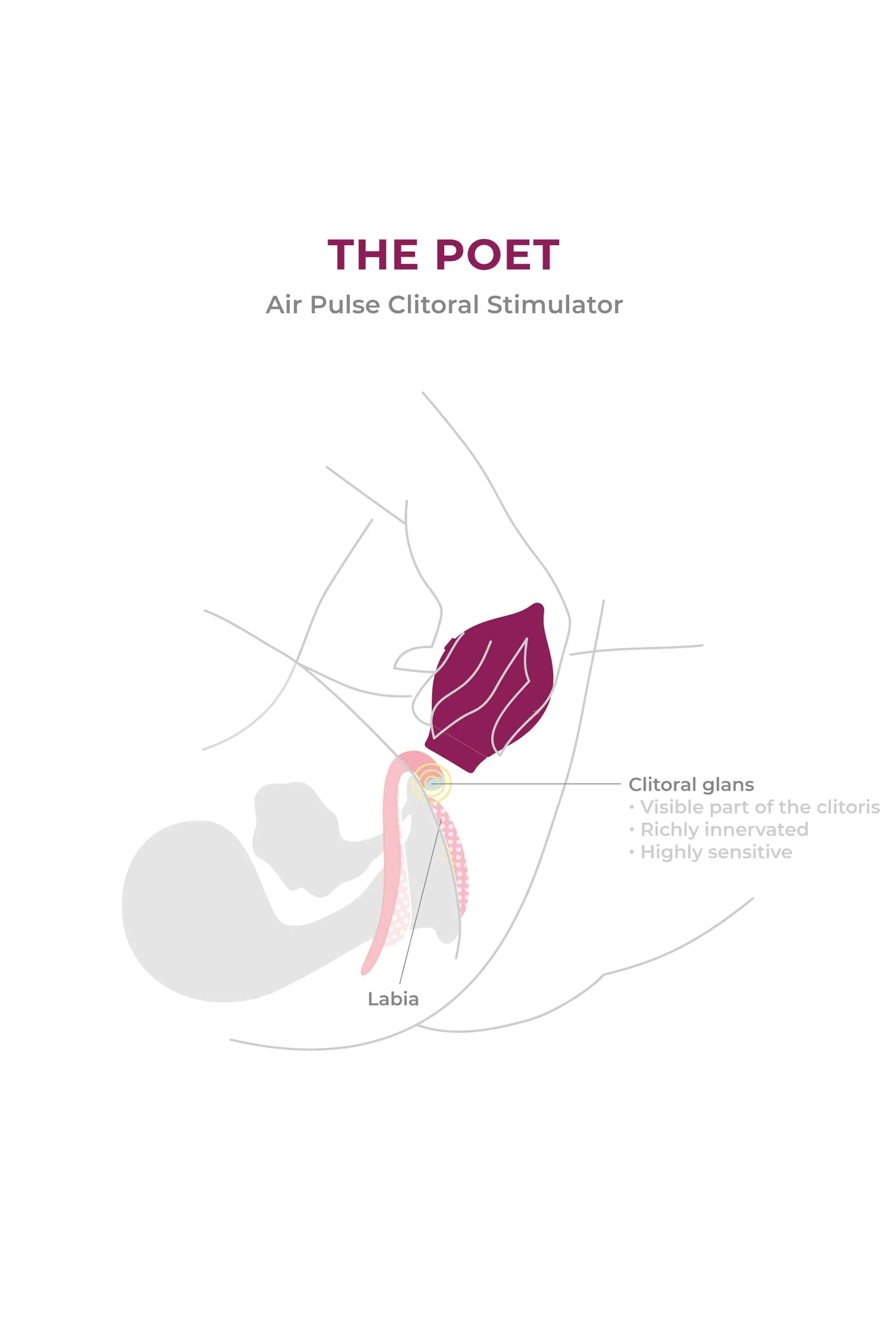 The Poet Suction Clitoral Vibrator