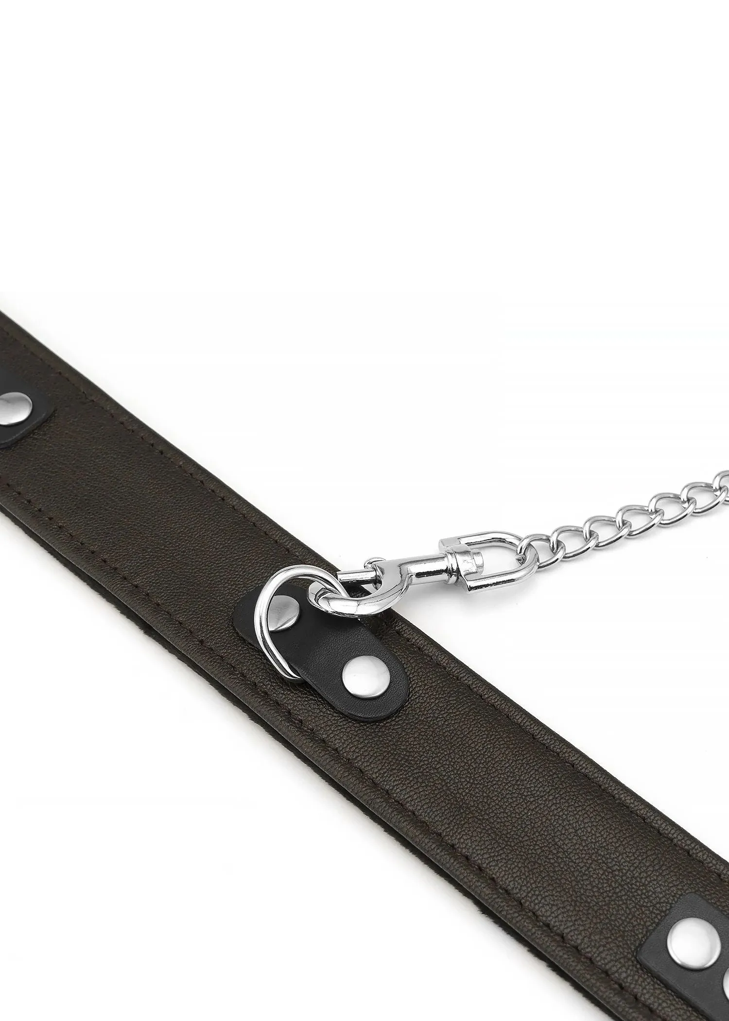 Wild Gent Brown Collar and Leash